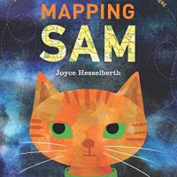 Book: Mapping Sam
